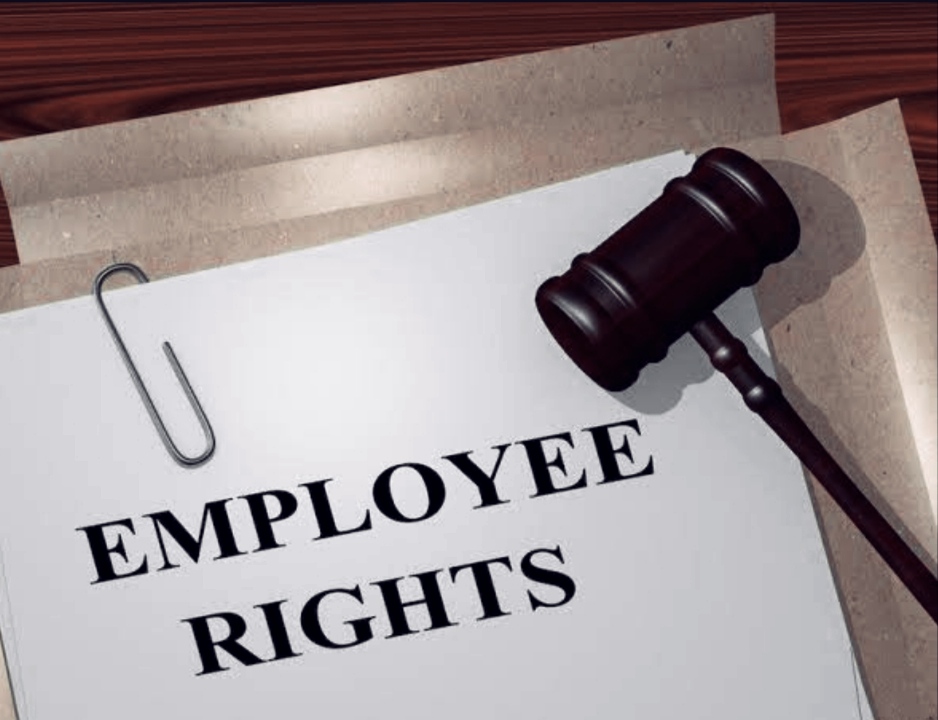 Comprehensive Guide to Employee Rights in India: Laws, Benefits and Protections Explained